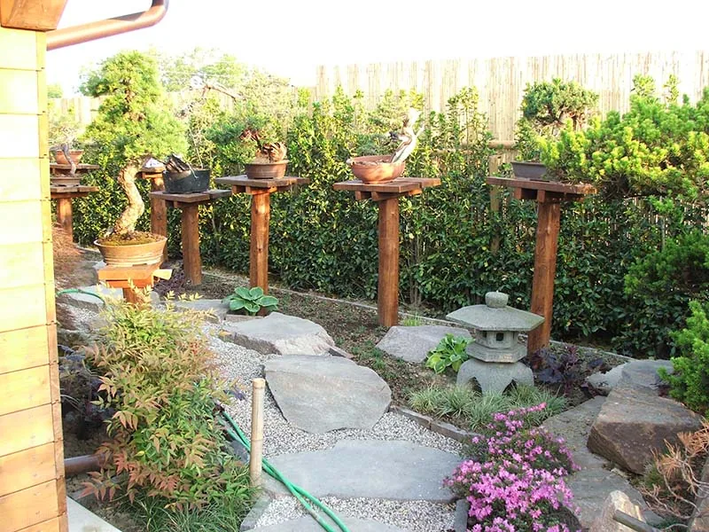 Giardino Giappish — dettaglio