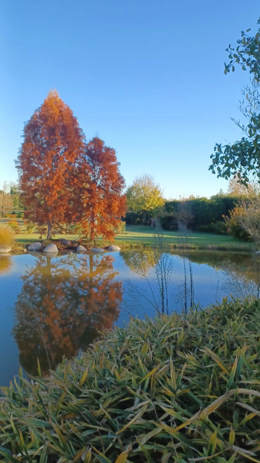 Giardino di lusso — Oltre il Verde