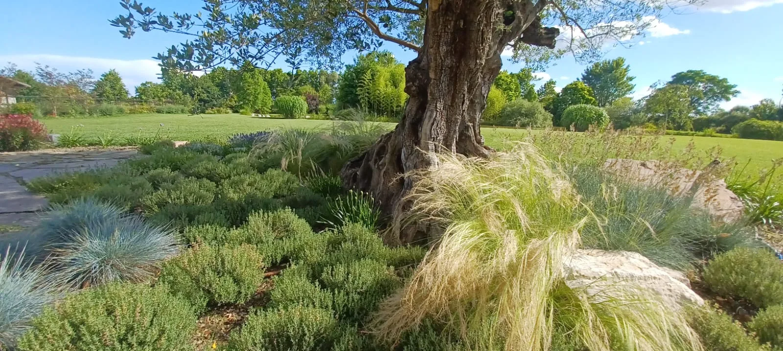 Giardino di lusso — Oltre il Verde
