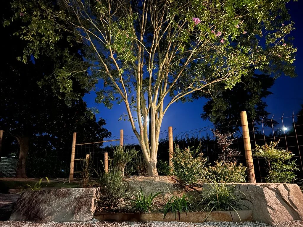 Giardino illuminato di notte — Oltre il Verde